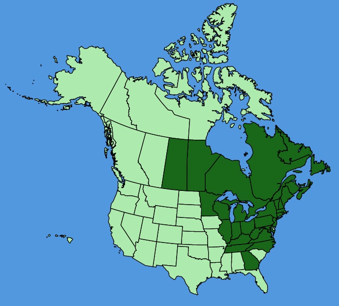 map-usc-Parogonum-ciliinode.JPG