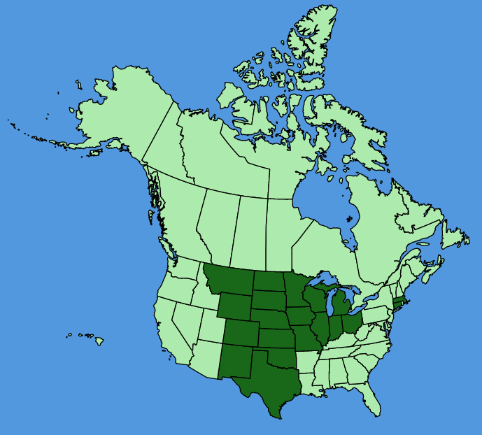 map-usc-Penstemon-bradburyi.JPG