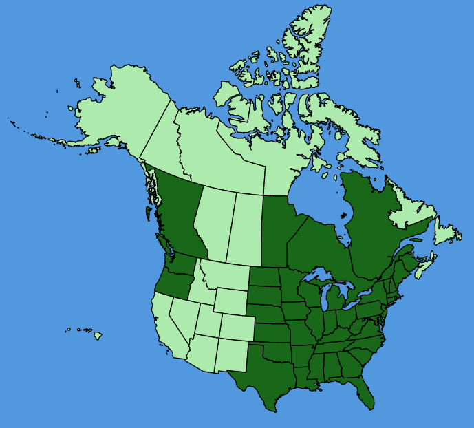 map-usc-Penthorum-sedoides.JPG