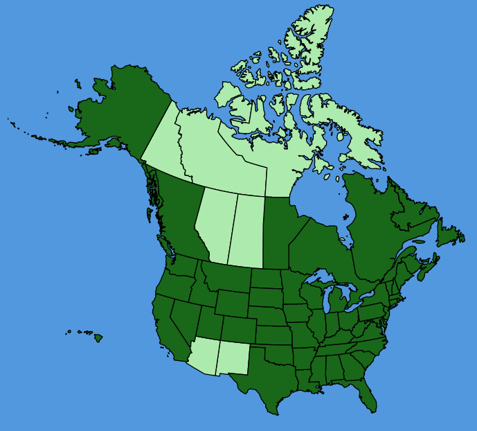 map-usc-Persicaria-hydropiper.JPG