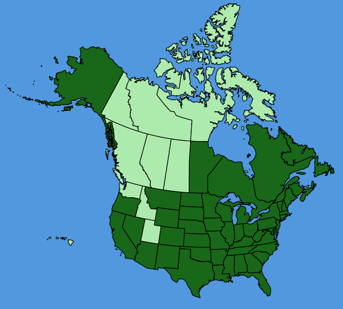 map-usc-Persicaria-pensylvanica.JPG
