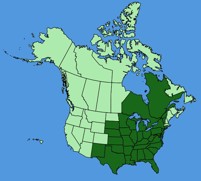 map-usc-Phlox-divaricata.JPG