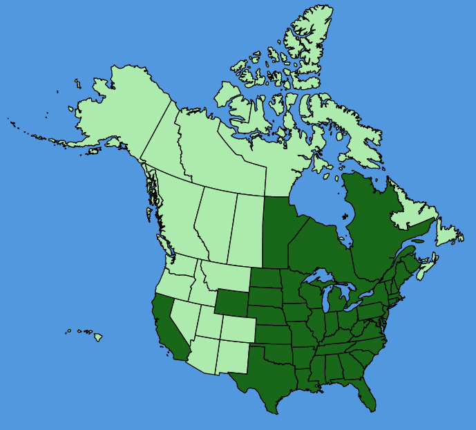 map-usc-Phryma-leptostachya.JPG