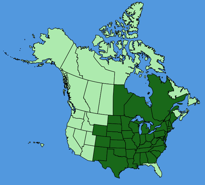 map-usc-Physalis-virginiana.JPG