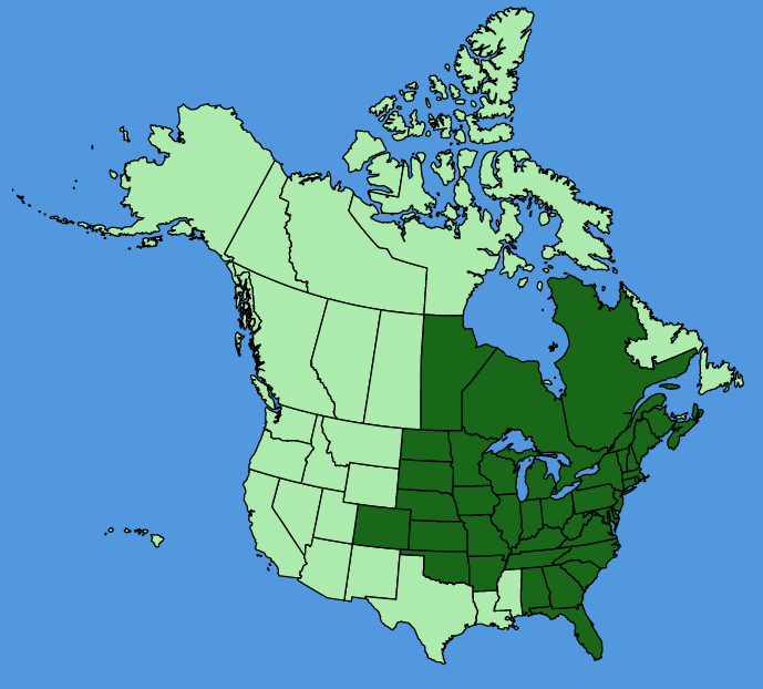 map-usc-Physocarpus-opulifolius.JPG