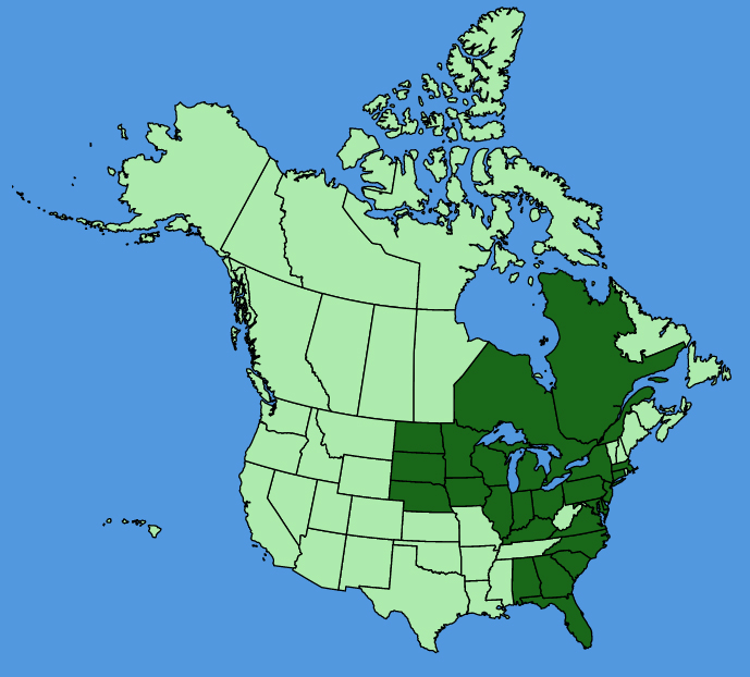 map-usc-Pilea-fontana.JPG