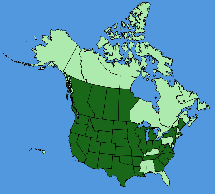 map-usc-Plantago-patagonica.JPG