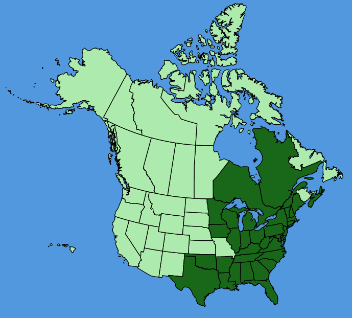 map-usc-Polygala-polygama.JPG