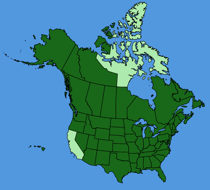 map-usc-Polygonum-aviculare.JPG