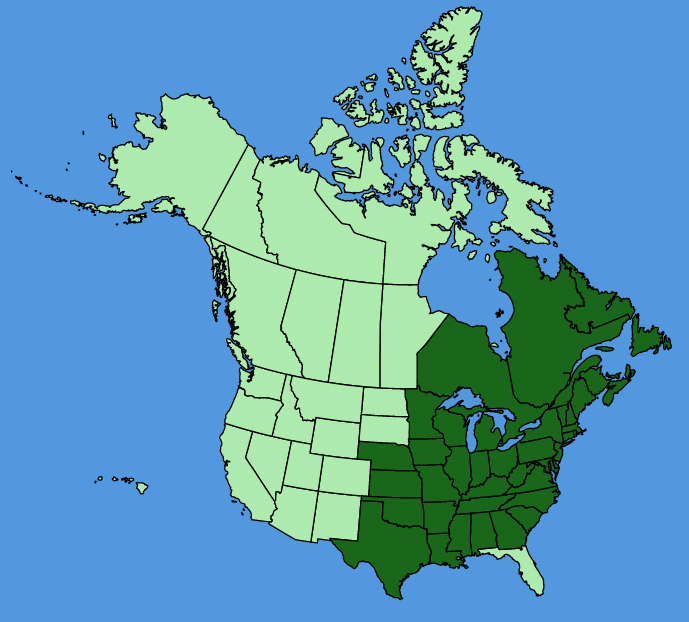 map-usc-Potentilla-simplex.JPG