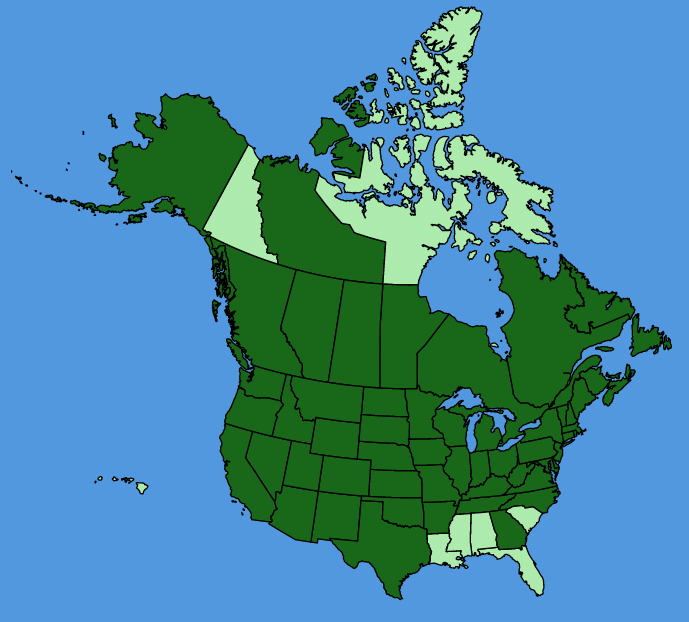 map-usc-Prunus-virginiana.JPG