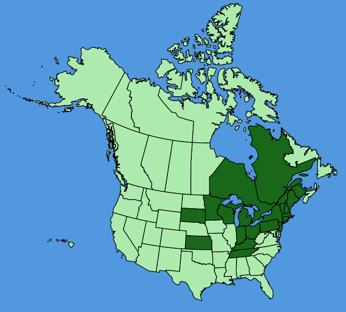 map-usc-Psammophiliella-muralis.JPG
