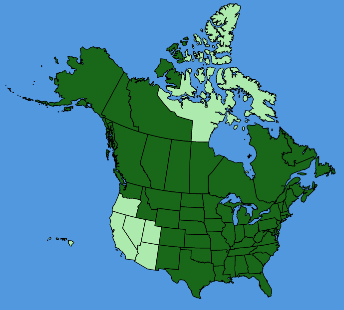 map-usc-Ranunculus-abortivus.JPG