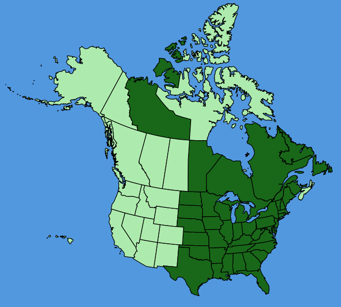 map-usc-Ranunculus-hispidus.JPG