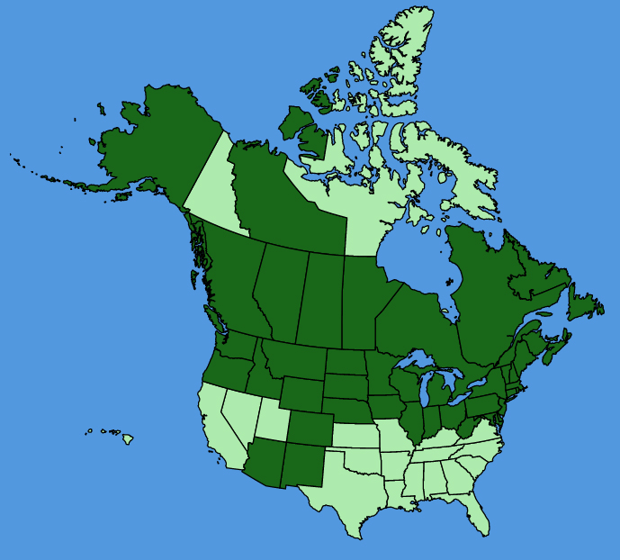 map-usc-Ranunculus-pensylvanicus.JPG