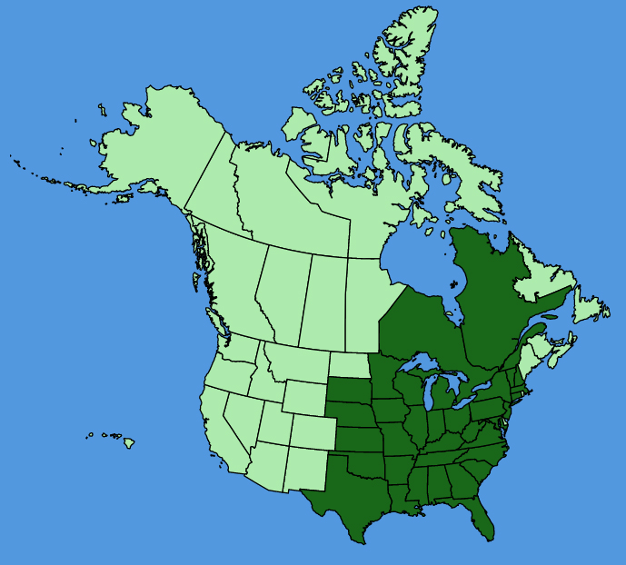 map-usc-Rhus-aromatica.JPG