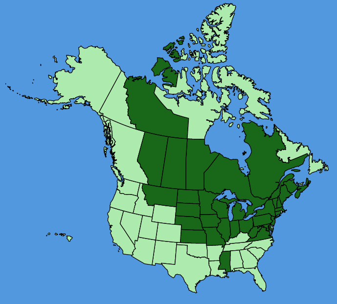 map-usc-Rosa-blanda.JPG