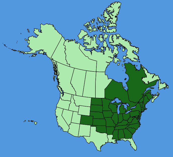 map-usc-Rubus-occidentalis.JPG