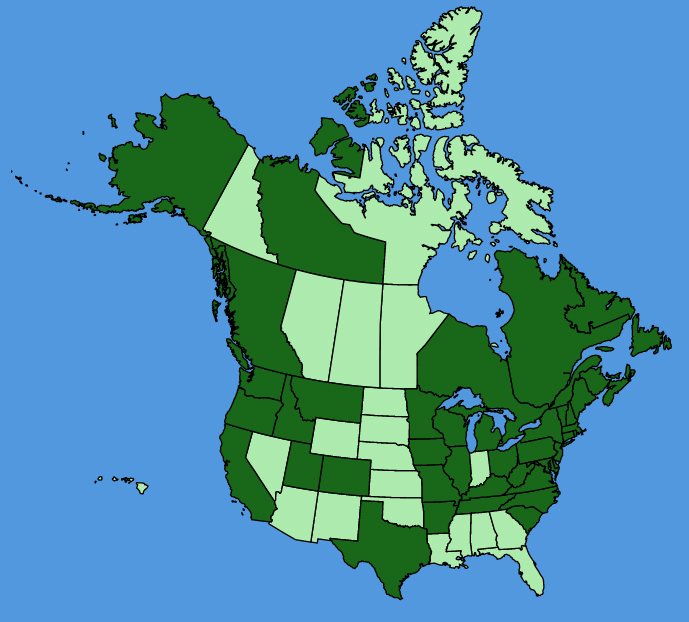 map-usc-Sagina-procumbens.JPG