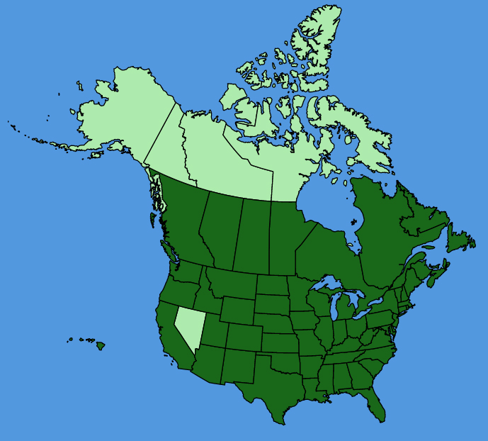 map-usc-Sagittaria-latifolia.JPG