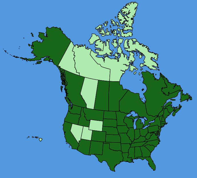 map-usc-Scutellaria-lateriflora.JPG
