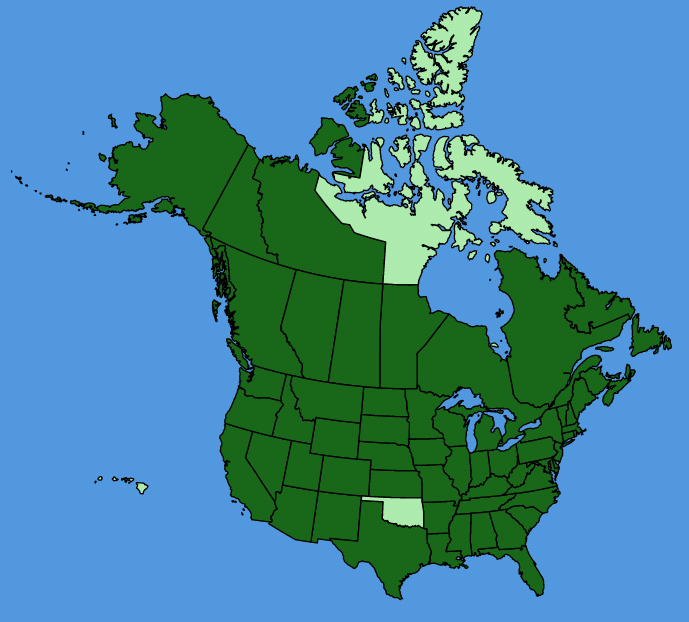 map-usc-Sium-suave.JPG
