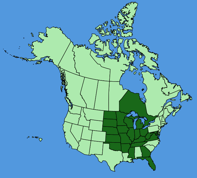 map-usc-Smilax-ecirrhata.JPG
