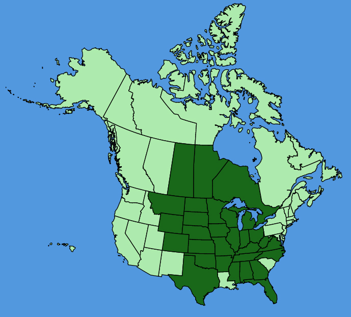 map-usc-Smilax-lasioneura.JPG