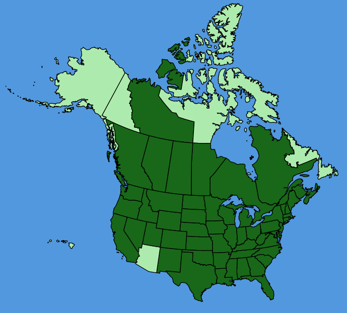 map-usc-Solidago-gigantea.JPG