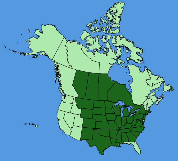 map-usc-Solidago-rigida.JPG