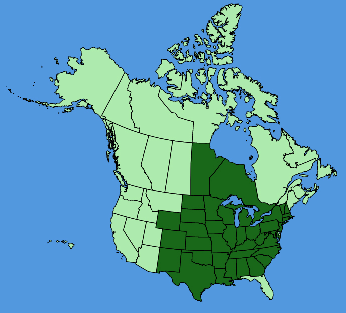 map-usc-Solidago-speciosa.JPG