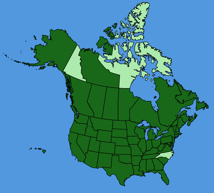 map-usc-Sonchus-oleraceus.JPG