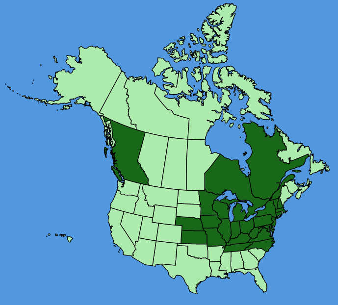 map-usc-Stellaria-aquatica.JPG