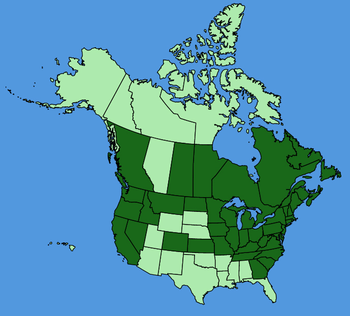 map-usc-Stellaria-graminea.JPG