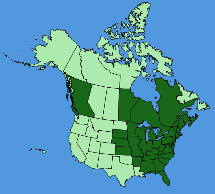 map-usc-Symphyotrichum-cordifolium.JPG