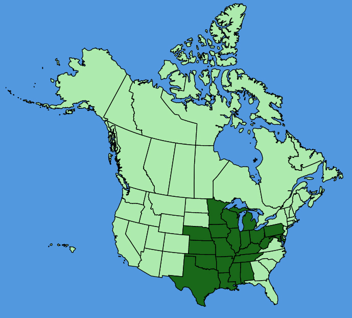 map-usc-Symphyotrichum-drummondii.JPG