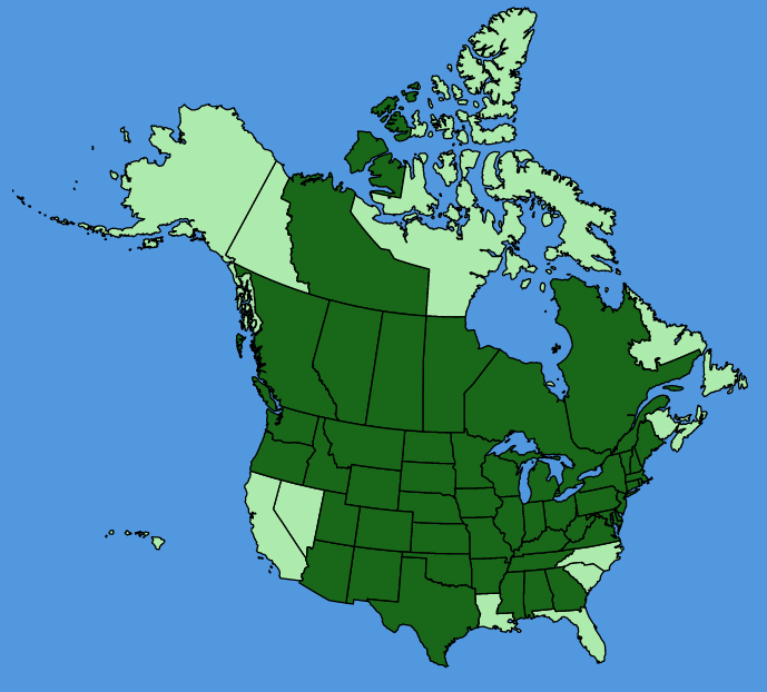 map-usc-Symphyotrichum-ericoides.JPG