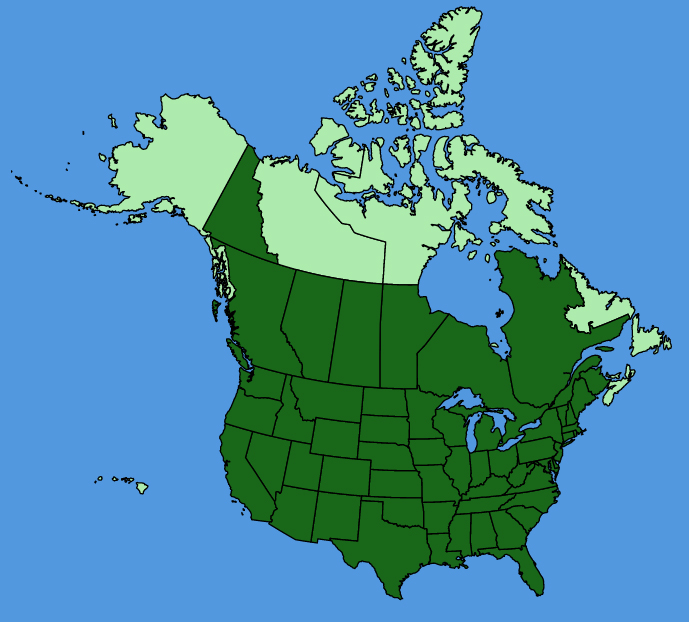 map-usc-Symphyotrichum-laeve.JPG