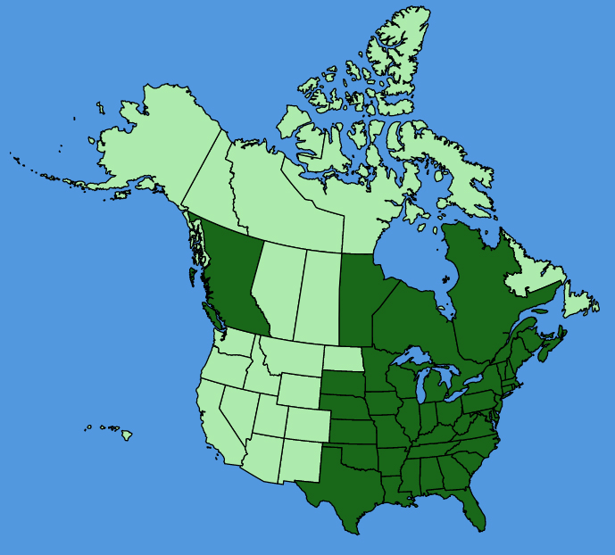 map-usc-Symphyotrichum-lateriflorum.JPG