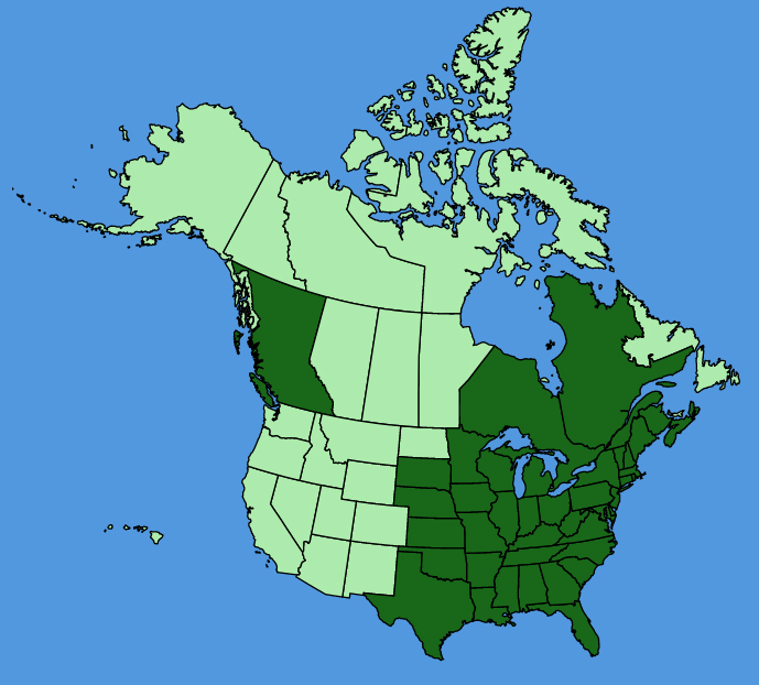 map-usc-Symphyotrichum-pilosum.JPG
