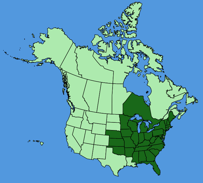 map-usc-Symphyotrichum-urophyllum.JPG
