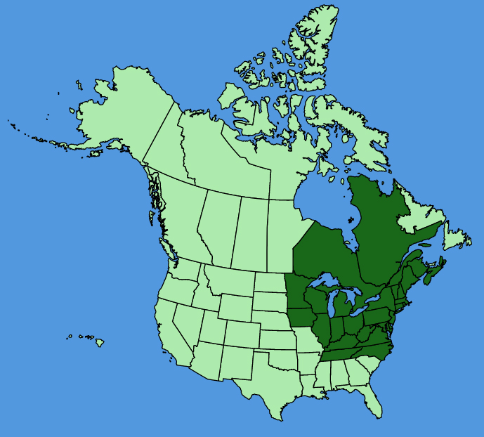 map-usc-Symplocarpus-foetidus.JPG