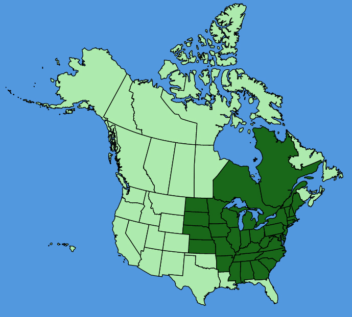 map-usc-Thalictrum-dioicum.JPG