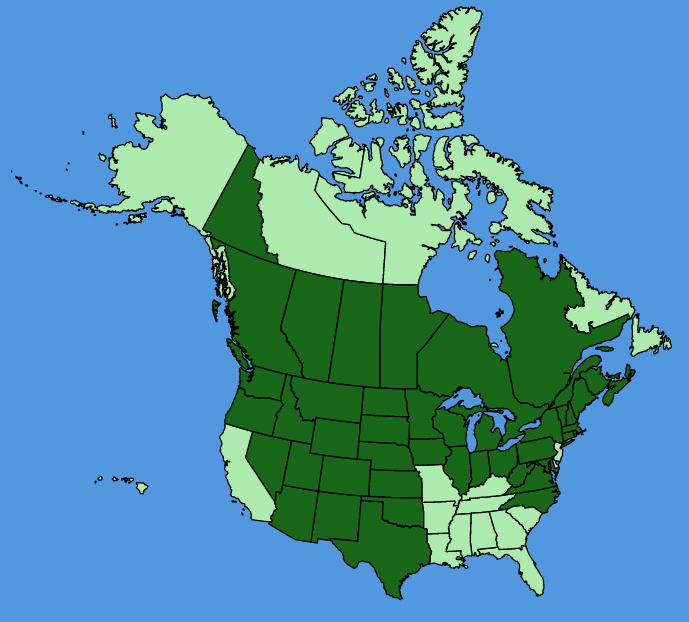 map-usc-Toxicodendron-rydbergii.JPG