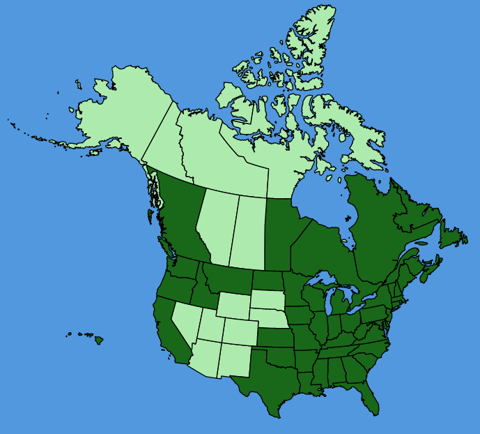 map-usc-Trifolium-arvense.JPG