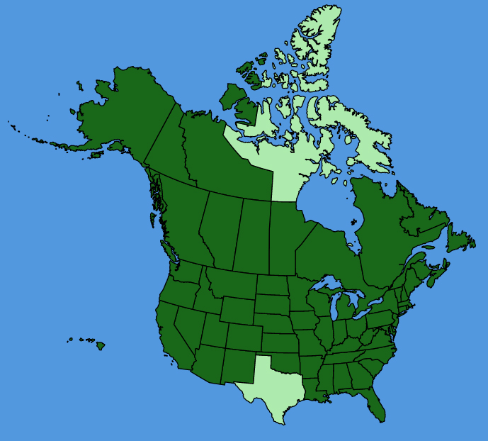 map-usc-Trifolium-hybridum.JPG
