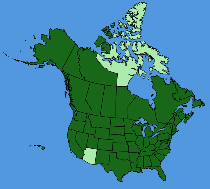 map-usc-Trifolium-pratense.JPG