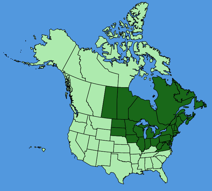 map-usc-Trillium-cernuum.JPG