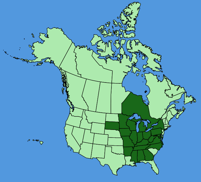 map-usc-Trillium-flexipes.JPG