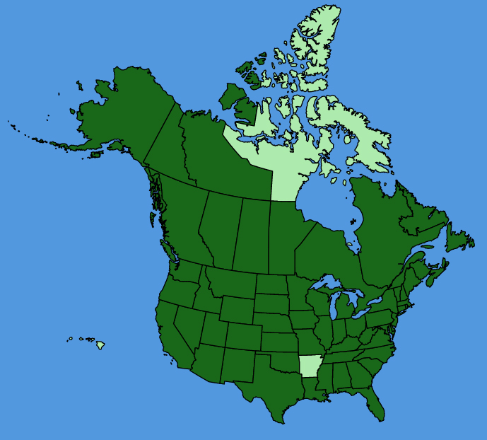 map-usc-Urtica-dioica.JPG